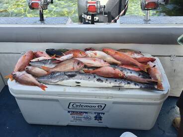 What A Great Day At Cayos