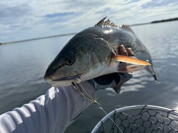 Brevard County Report Photo 1