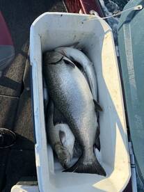 Oak Creek Report Photo 1