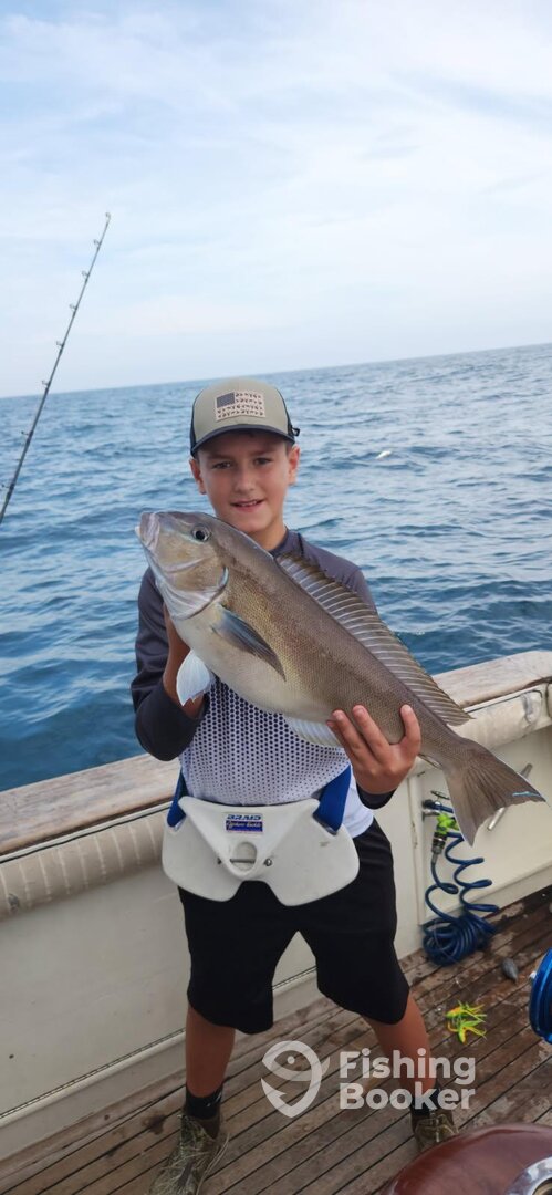 Norfolk Report Photo 0