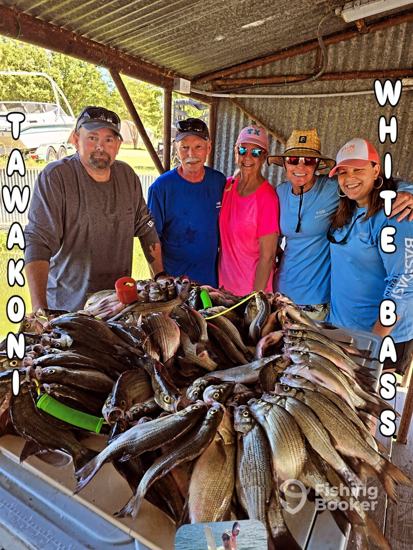 Grapevine Report Photo 0