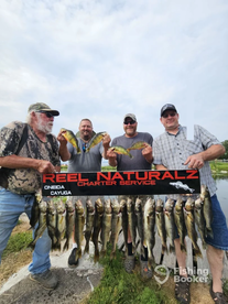 Oswego County Report Photo 3