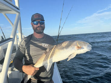 Cape Lookout Report Photo 2