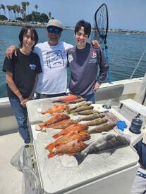 Great fishing inshore