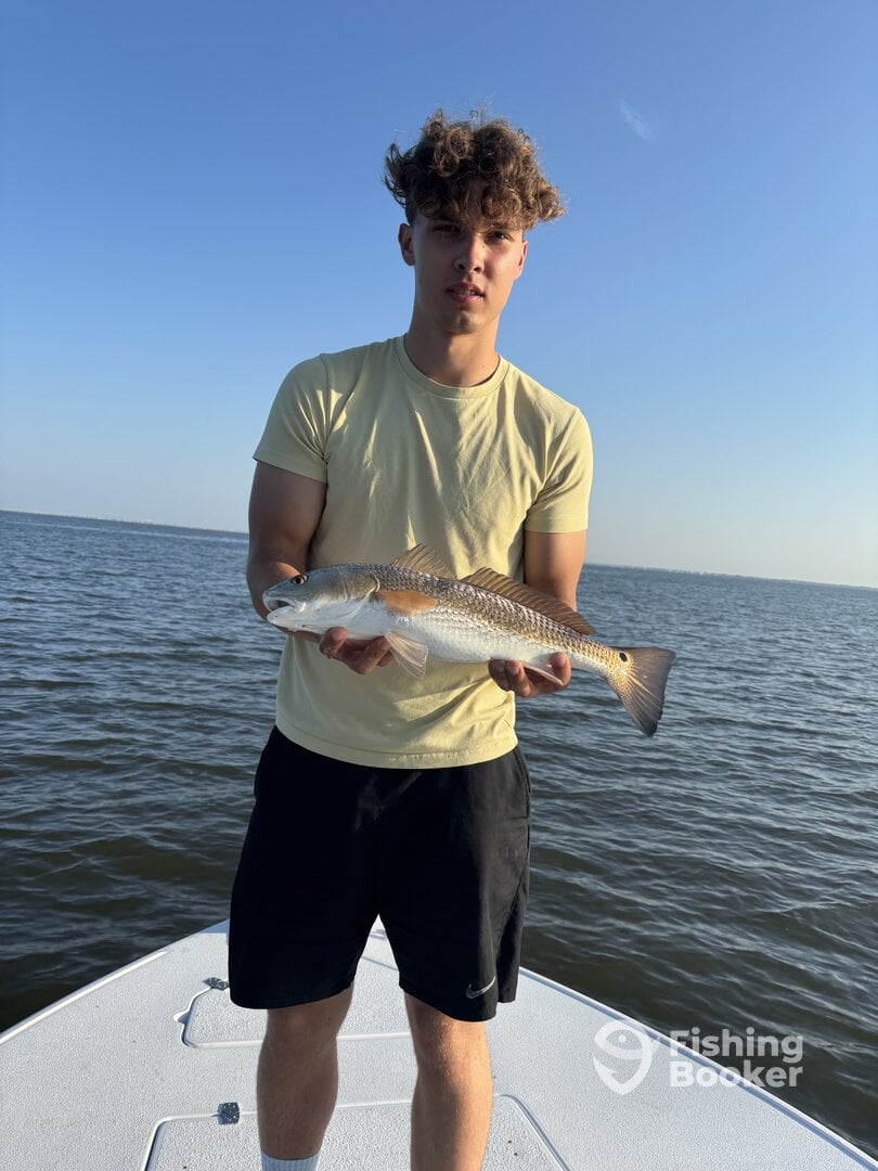 Lake Pontchartrain Report Photo 0