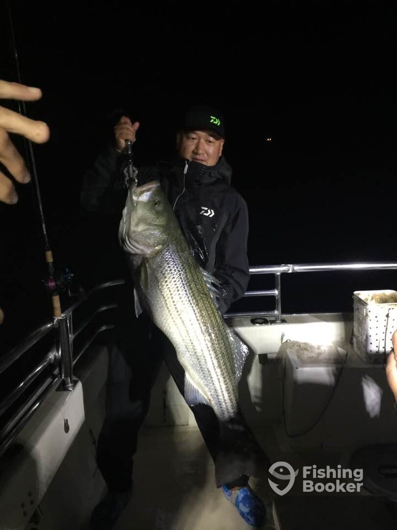 Montauk Report Photo 0