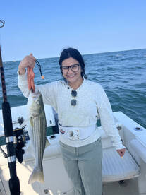 Cape Cod Report Photo 2