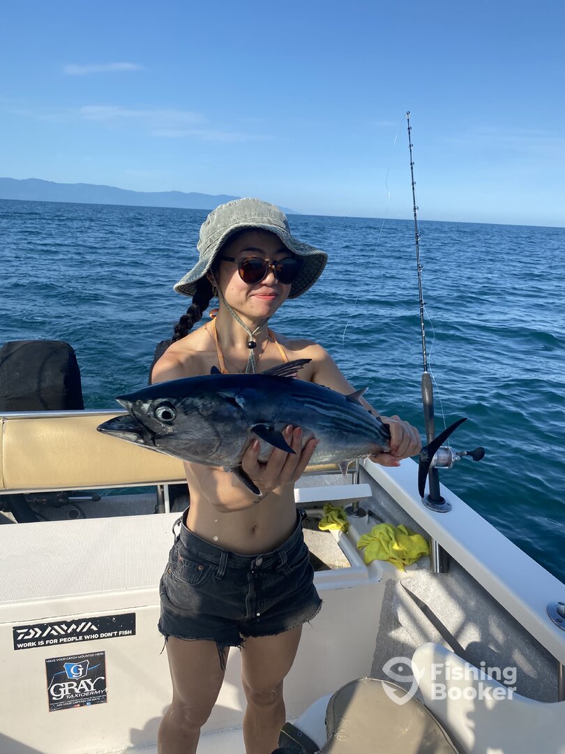 Puerto Vallarta Report Photo 0