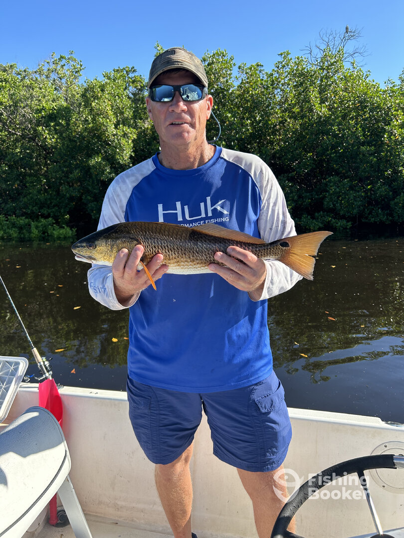 Punta Gorda Report Photo 0