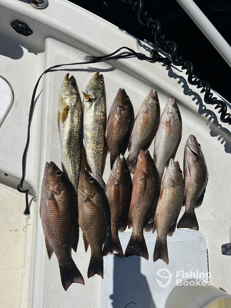 Punta Gorda Report Photo 0