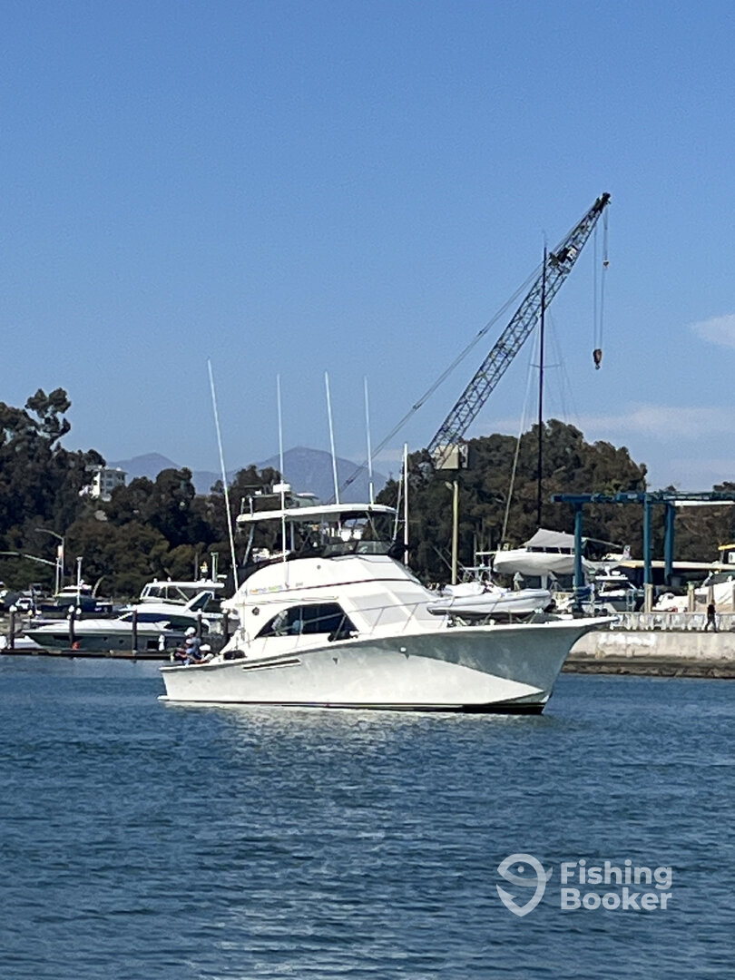Dana Point Report Photo 0