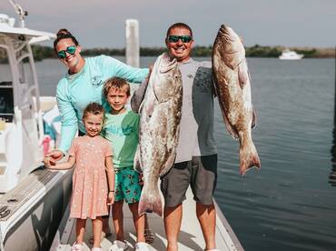 Gag Grouper 