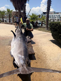 San Jose del Cabo Report Photo 2