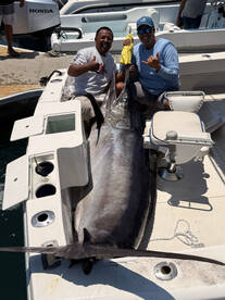 DALIKEN SPORTFISHING BOOK NOW!