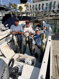 San Jose del Cabo Report Photo 2