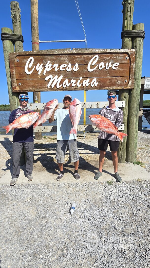 Port Sulphur Report Photo 0