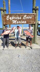 Bayou Lafourche Report Photo 3