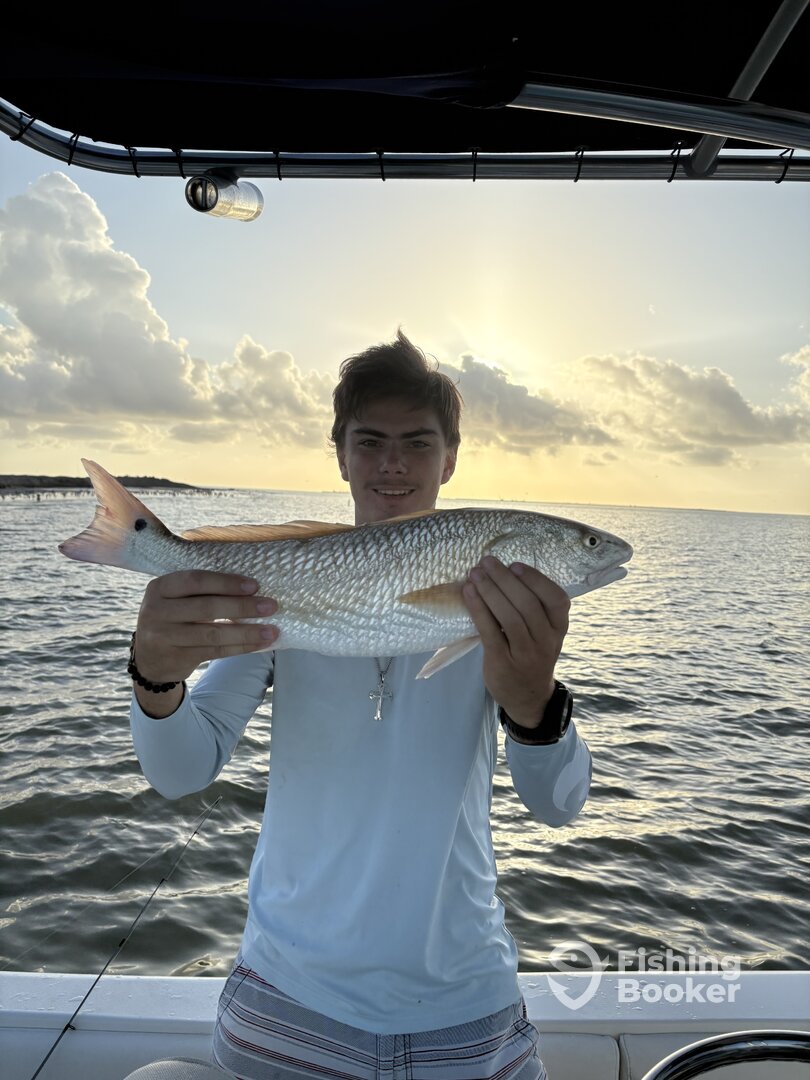 San Leon Report Photo 0