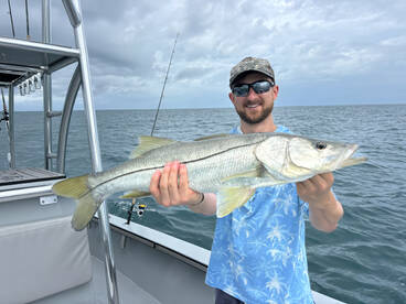 Collier County Report Photo 1
