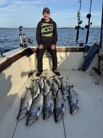 Algoma Report Photo 1