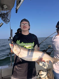 Westfield Report Photo 3