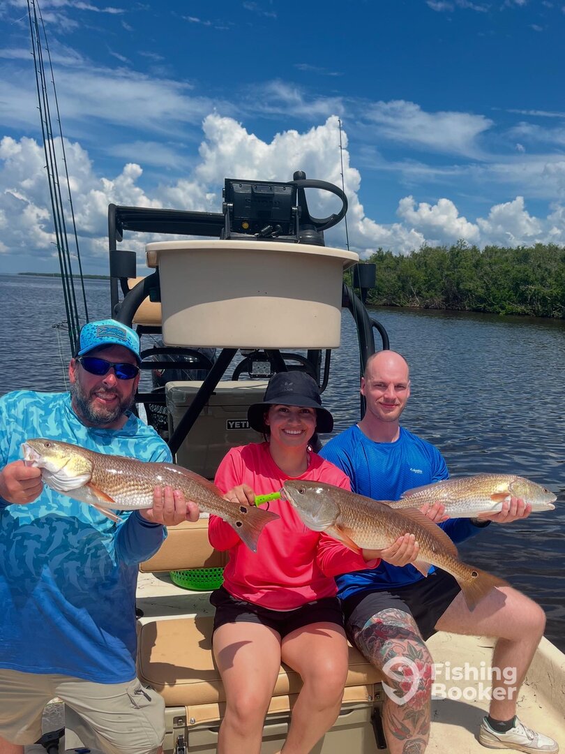 Punta Gorda Report Photo 0