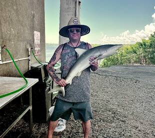 Shark trips are on ?