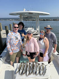 Dauphin Island Report Photo 1