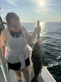 Dauphin Island Report Photo 2