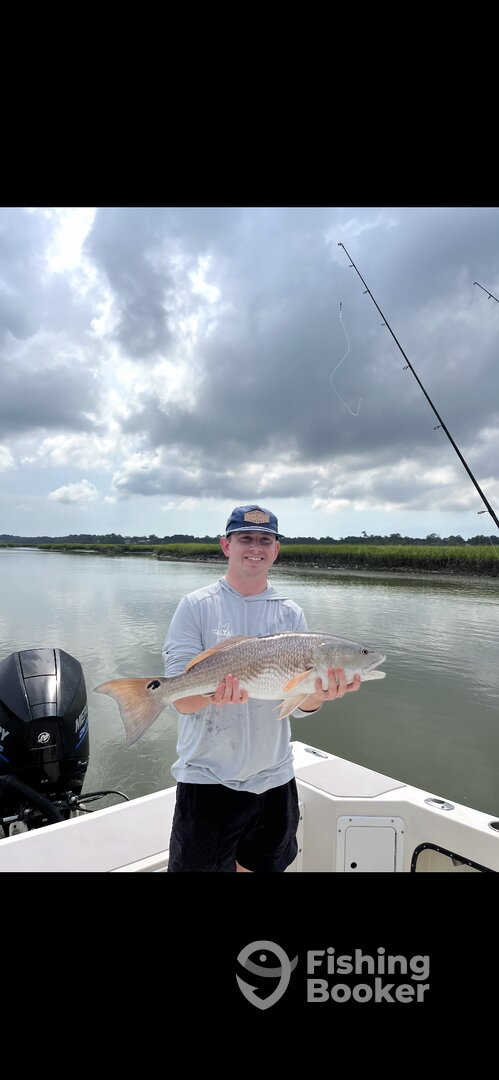 Hilton Head Island Report Photo 0