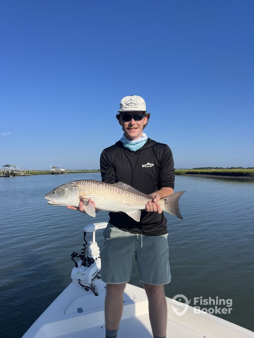 Mount Pleasant Report Photo 0