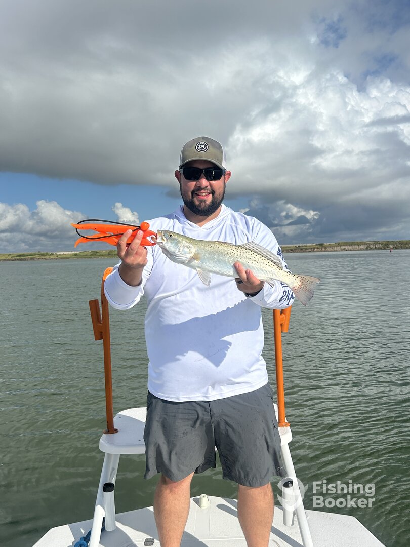 Port Isabel Report Photo 0