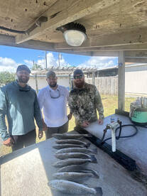 Port Isabel Report Photo 2