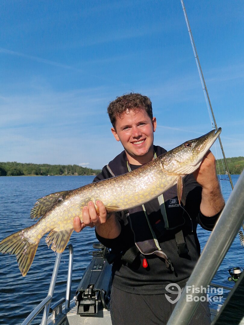 Sweden Report Photo 0