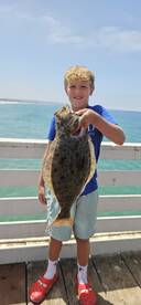 California Halibut