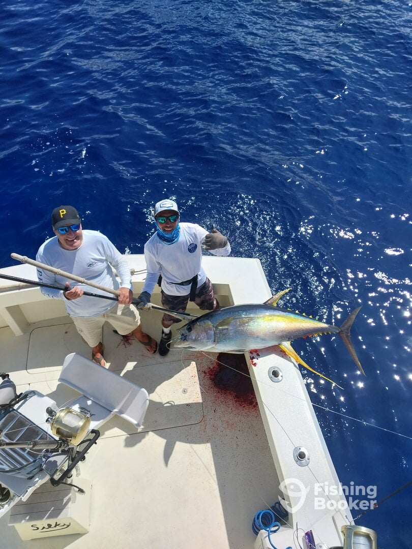 Hawaii Report Photo 0