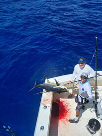 Ahi Monday !