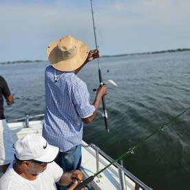 Solomons Report Photo 1