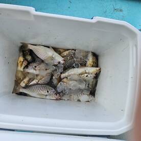 Chesapeake Beach Report Photo 2