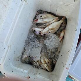 Chesapeake Bay Report Photo 2