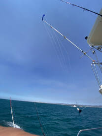 Algarve Report Photo 1