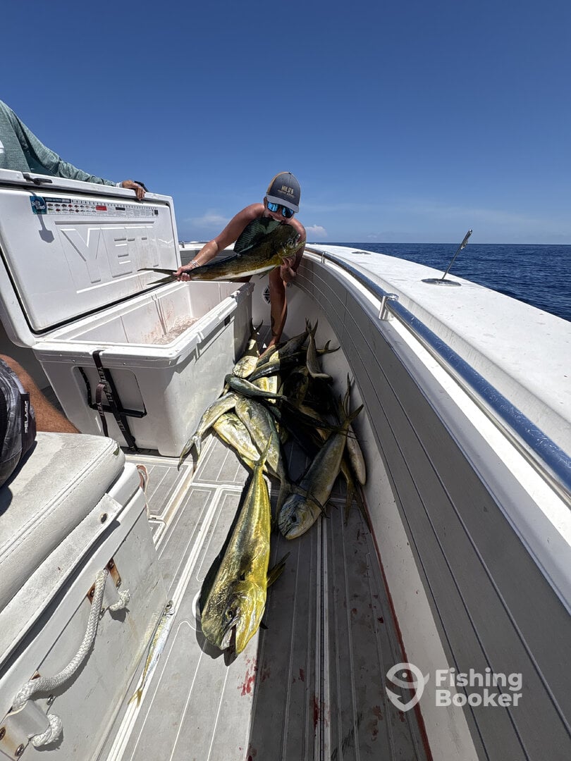 Florida Keys Report Photo 0