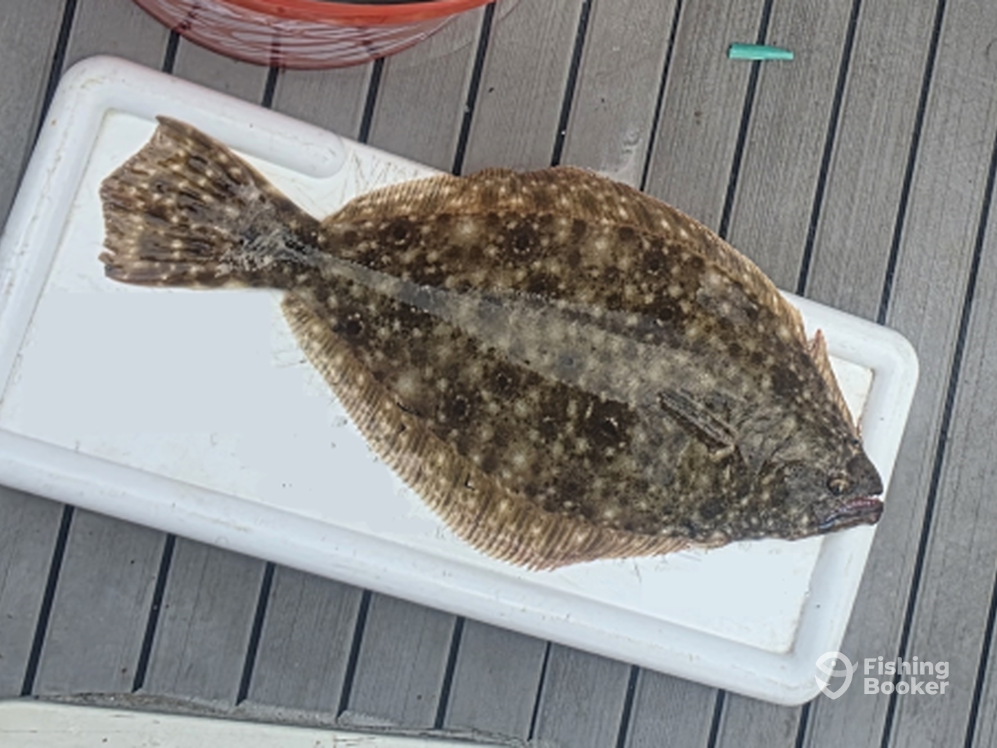 Ocean Township Report Photo 0