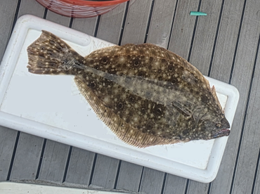 Long Beach Island Report Photo 4