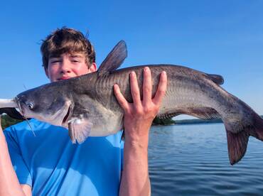 Nice Blue Catfish