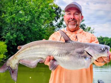 Another Nice LKW Blue Catfish