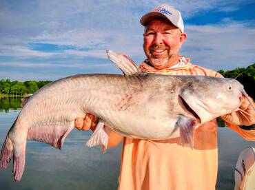 Nice LKW Blue Catfish