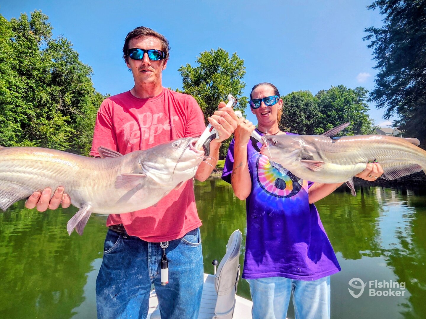 Doubled up on 2 Nice Blue Cats