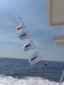 Double... Triple strikes... White marlin