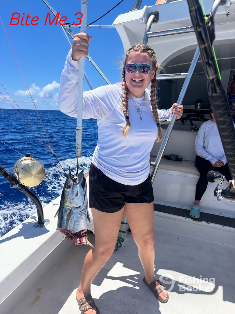 Shark bite tuna
